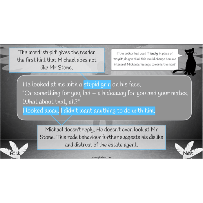 PlanBee Skellig: Reading Comprehension