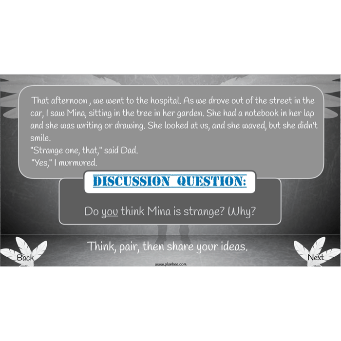 PlanBee Skellig: Reading Comprehension