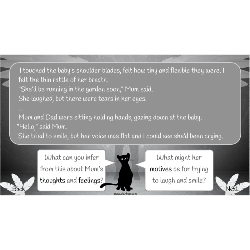 Skellig: Reading Comprehension