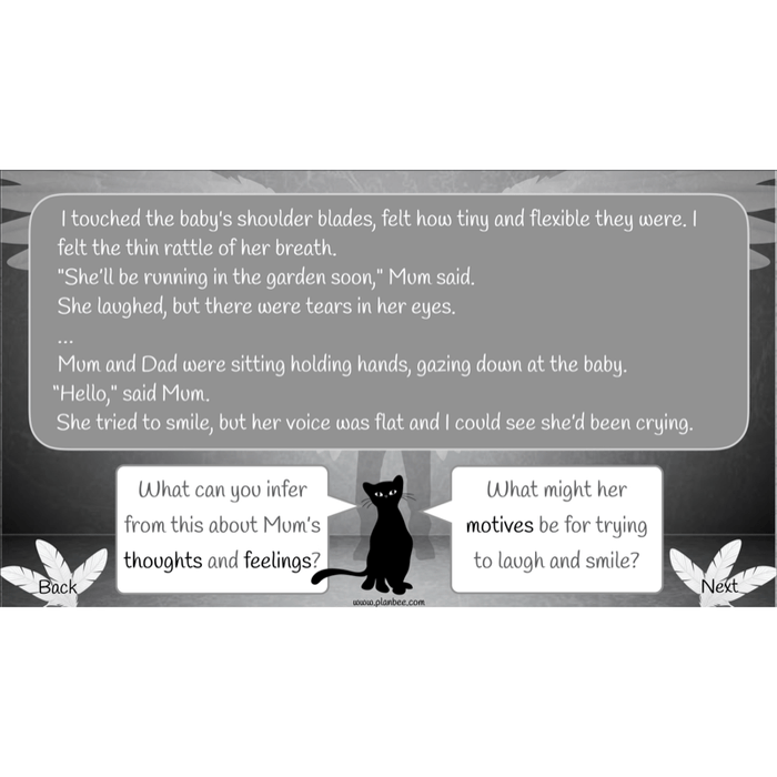 Skellig: Reading Comprehension