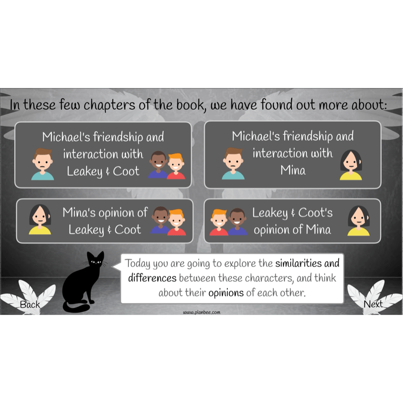 Skellig: Reading Comprehension