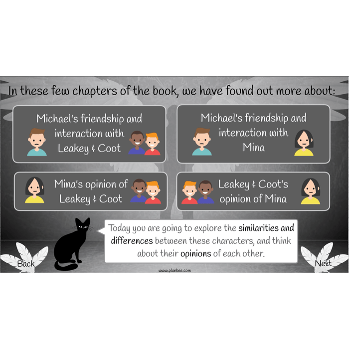 Skellig: Reading Comprehension