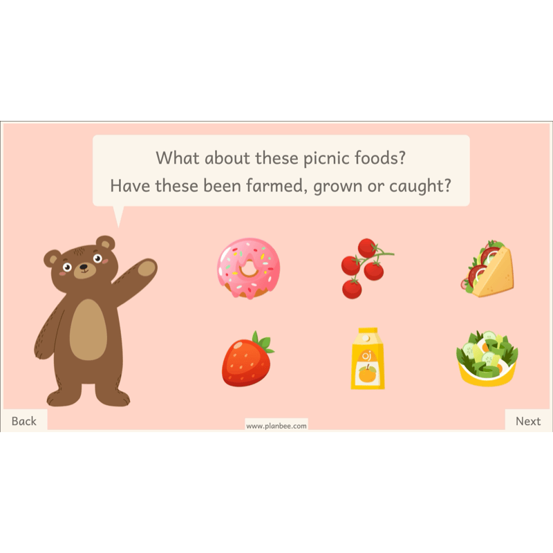 PlanBee Teddy Bears Picnic Ideas and DT Lessons by PlanBee