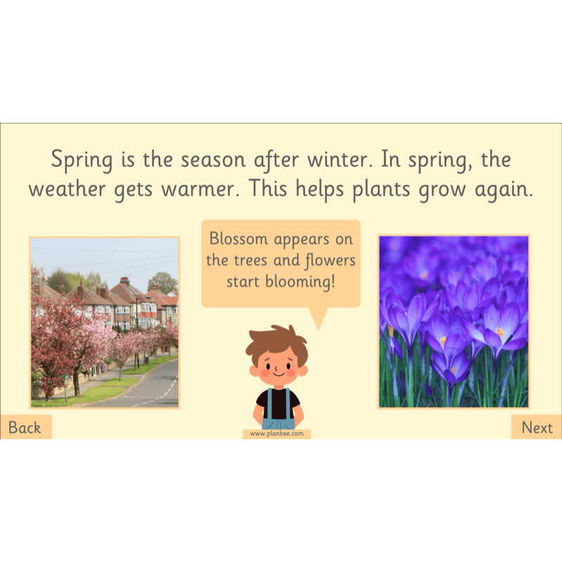 PlanBee The Four Seasons KS1 Geography Lesson Pack