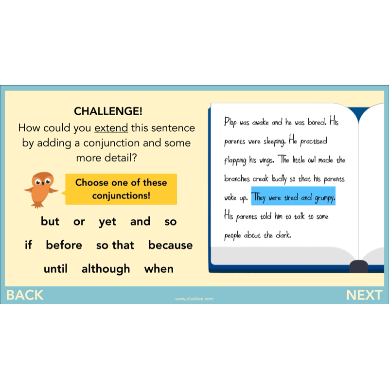 PlanBee The Owl who was Afraid of the Dark | KS2 Narrative Lessons