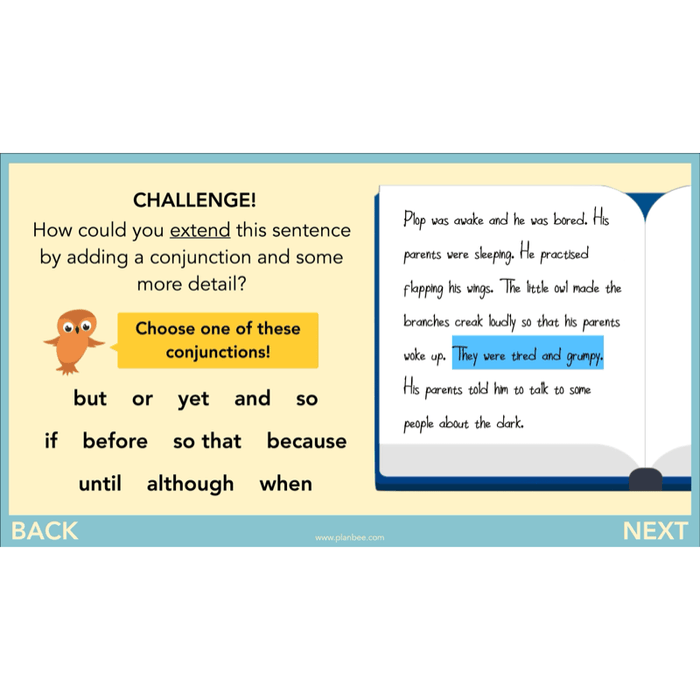 PlanBee The Owl who was Afraid of the Dark | KS2 Narrative Lessons