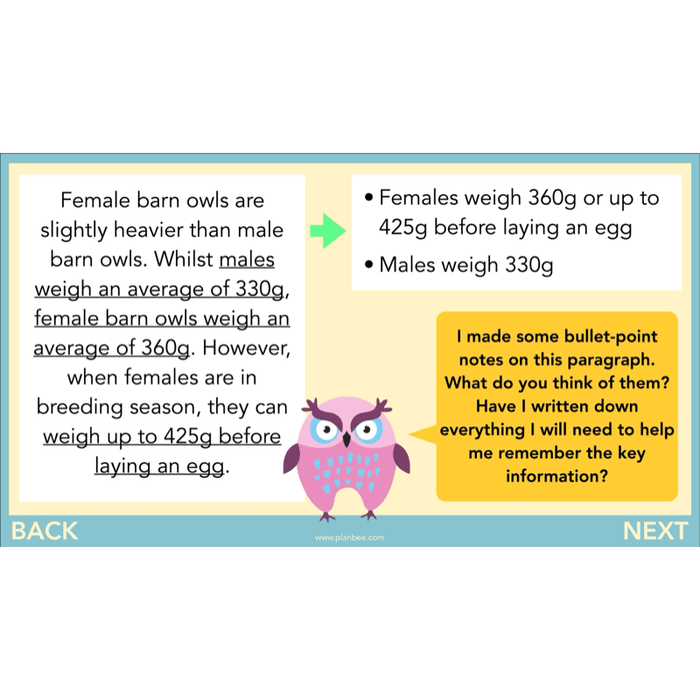 PlanBee The Owl who was Afraid of the Dark | KS2 Non-chronological Reports