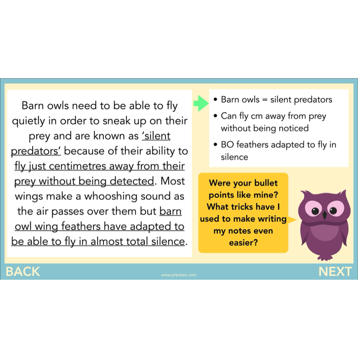 PlanBee The Owl who was Afraid of the Dark | KS2 Non-chronological Reports