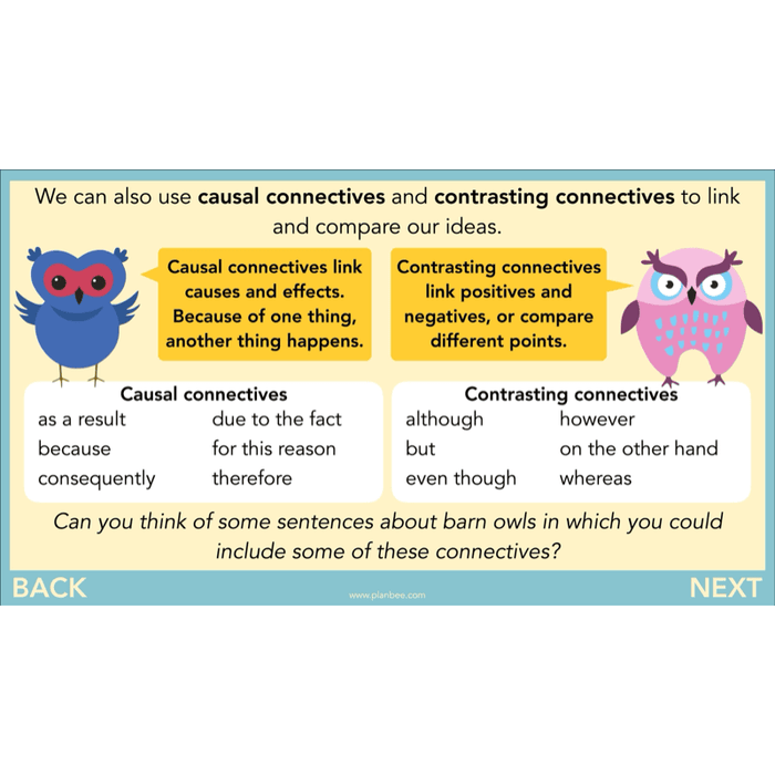 PlanBee The Owl who was Afraid of the Dark | KS2 Non-chronological Reports