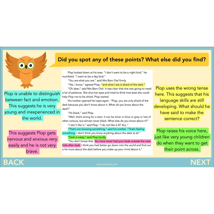 PlanBee The Owl who was Afraid of the Dark | KS2 Comprehension