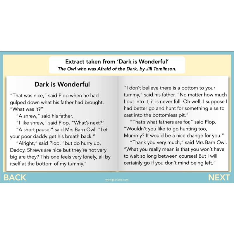 PlanBee The Owl who was Afraid of the Dark | KS2 Comprehension