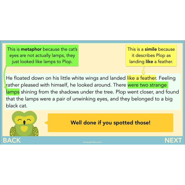 The Owl who was Afraid of the Dark: Reading Comprehension