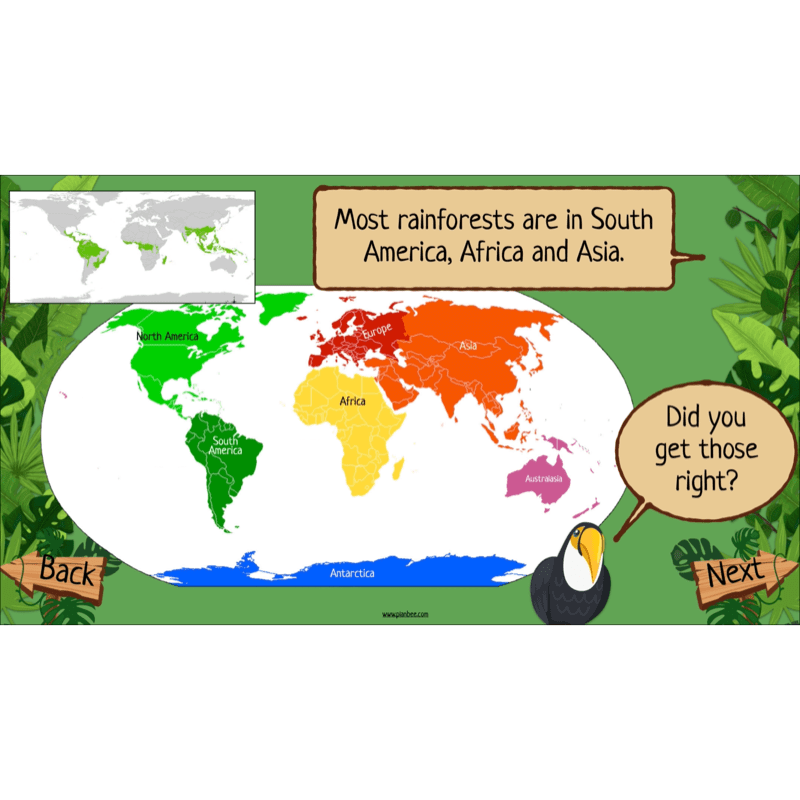 PlanBee The Rainforest Biome KS2 | Geography Lesson Pack
