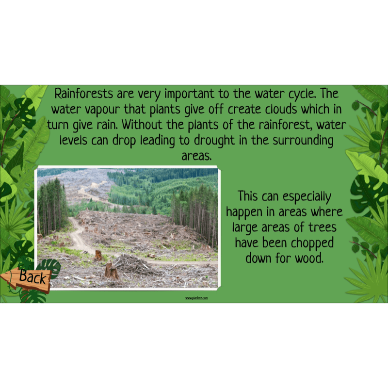 PlanBee The Rainforest Biome KS2 | Geography Lesson Pack