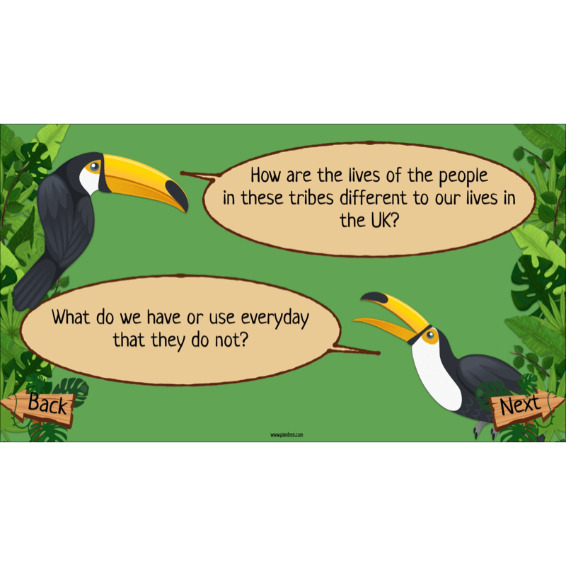 PlanBee The Rainforest Biome KS2 | Geography Lesson Pack