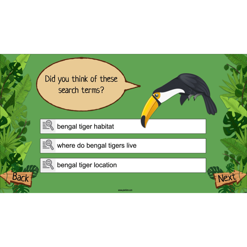 The Rainforest Topic Enrichment Pack
