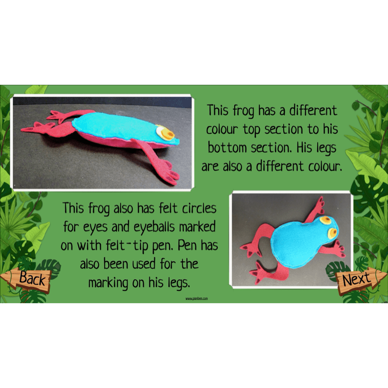 The Rainforest Topic Enrichment Pack
