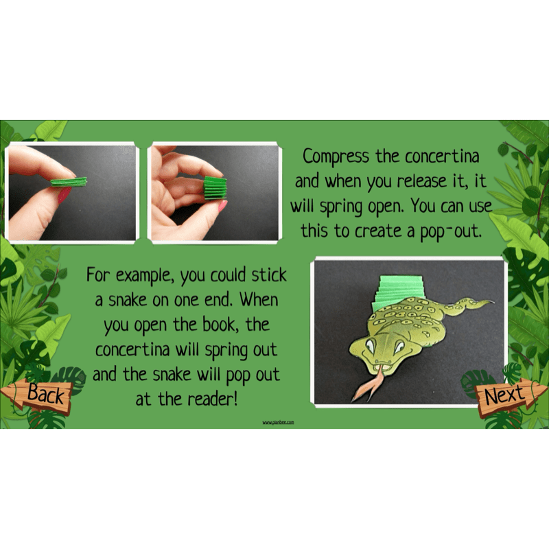 The Rainforest Topic Enrichment Pack