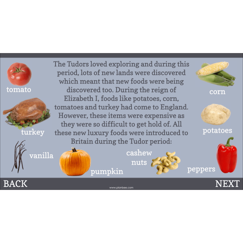 PlanBee The Tudors KS2 History Lessons and Resources