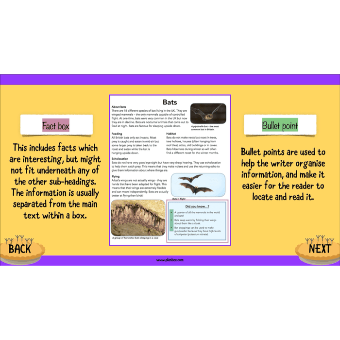 PlanBee The Twits: Non-chronological Reports KS2 | Y4 English Pack