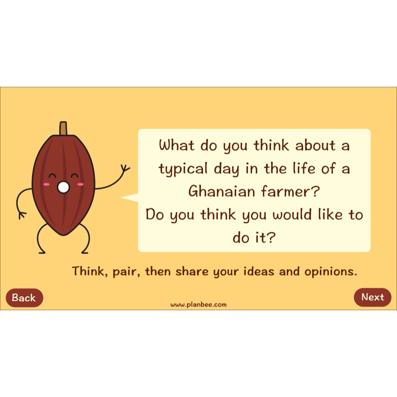 PlanBee Where does Chocolate come from? | KS2 Geography lessons