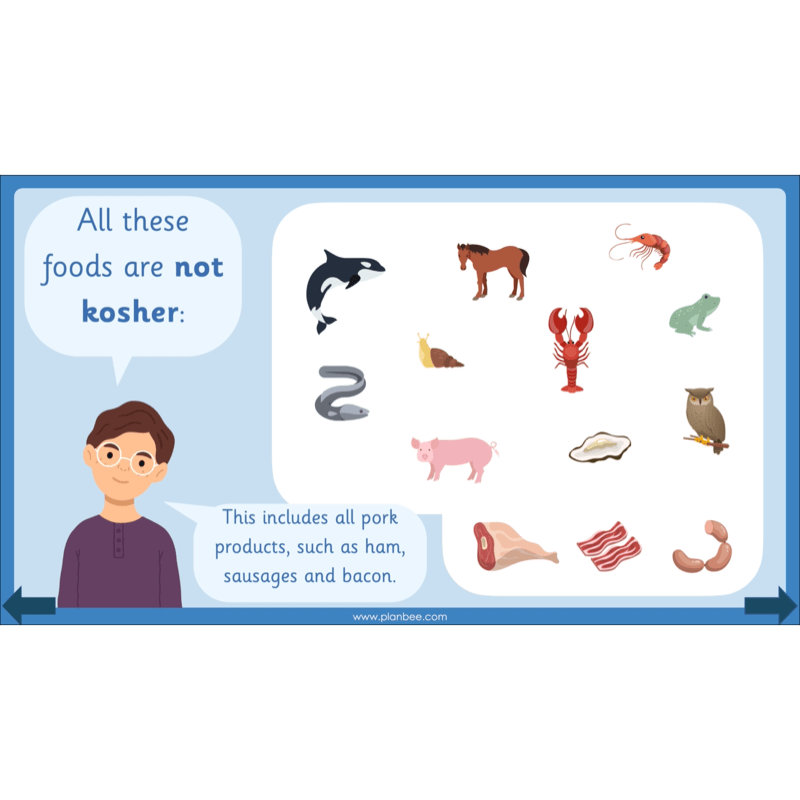 Why is the Torah special?