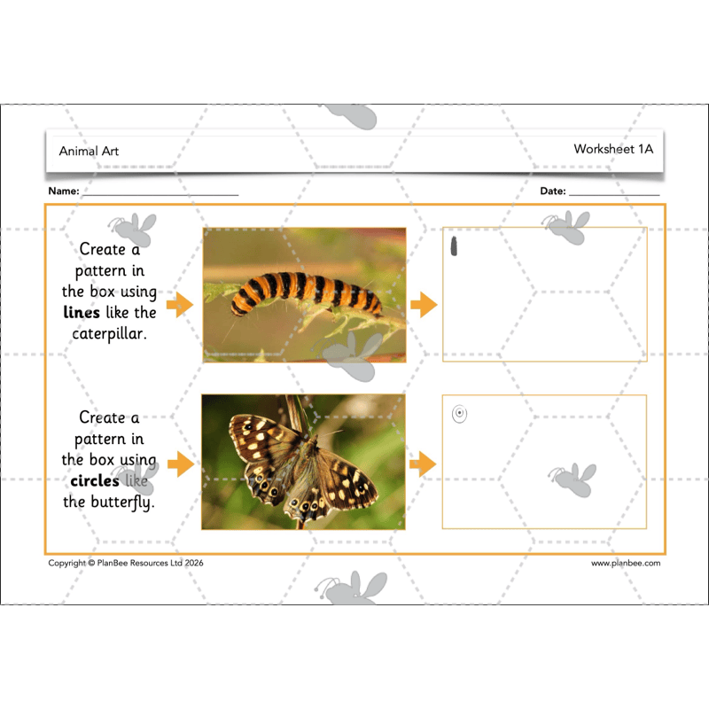 PlanBee Animal Art KS1 | Art Lesson Pack
