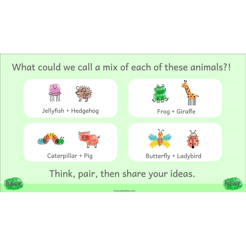 PlanBee Animal Poetry KS1 English Lesson Pack