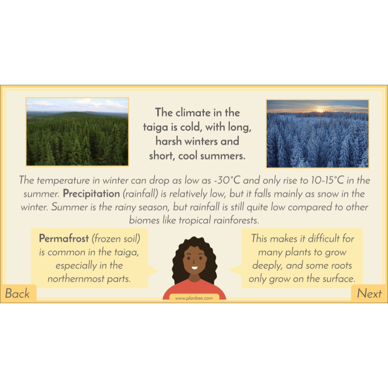 PlanBee Biomes KS2 Geography Lessons