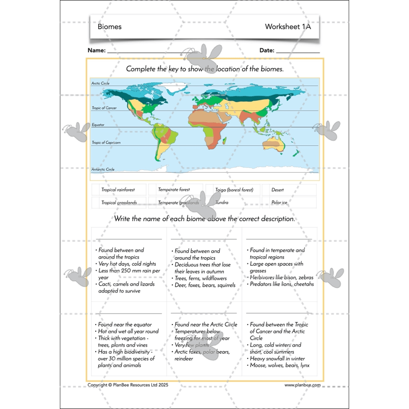 PlanBee Biomes KS2 Geography Lessons