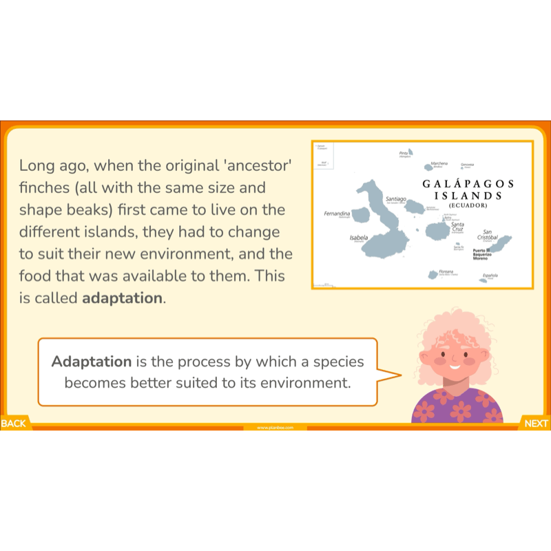 PlanBee Charles Darwin KS2 Lesson Pack