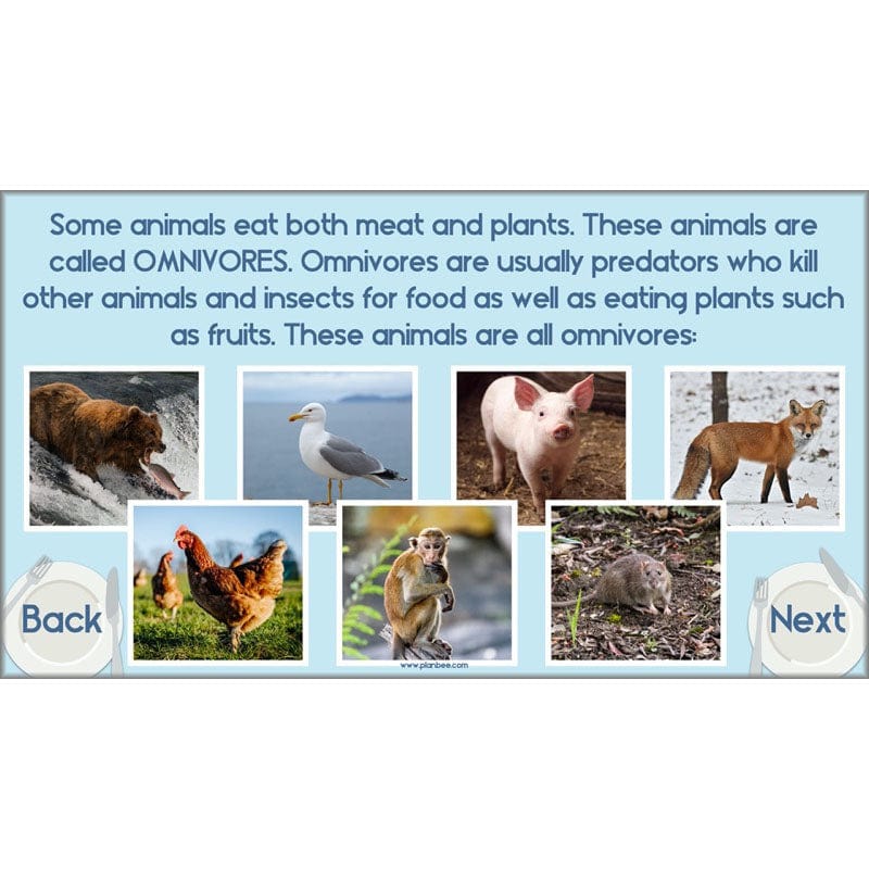 PlanBee Animals Including Humans Year 3 Science Lessons by PlanBee