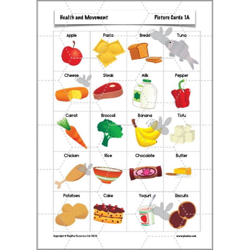 PlanBee Animals Including Humans Year 3 Science Lessons by PlanBee