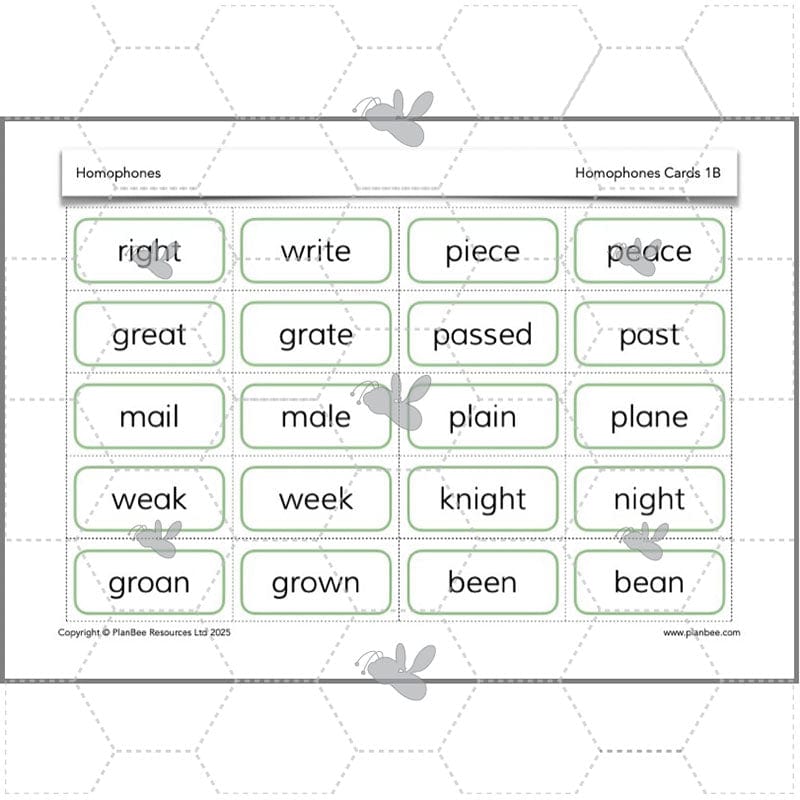 PlanBee Homophones KS2 | Year 3 English Lesson Pack