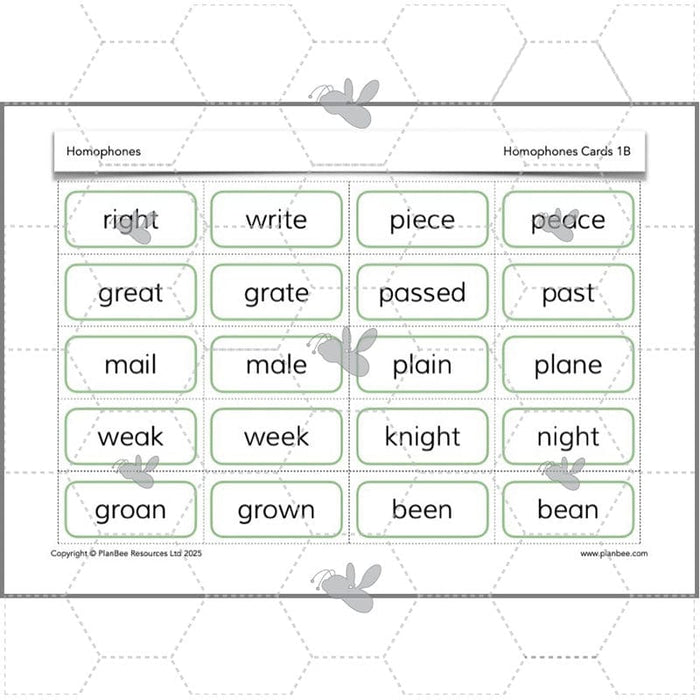 PlanBee Homophones KS2 | Year 3 English Lesson Pack