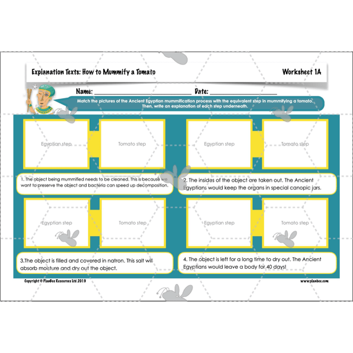 PlanBee Explanation Texts: How to Mummify a Tomato | KS2 English