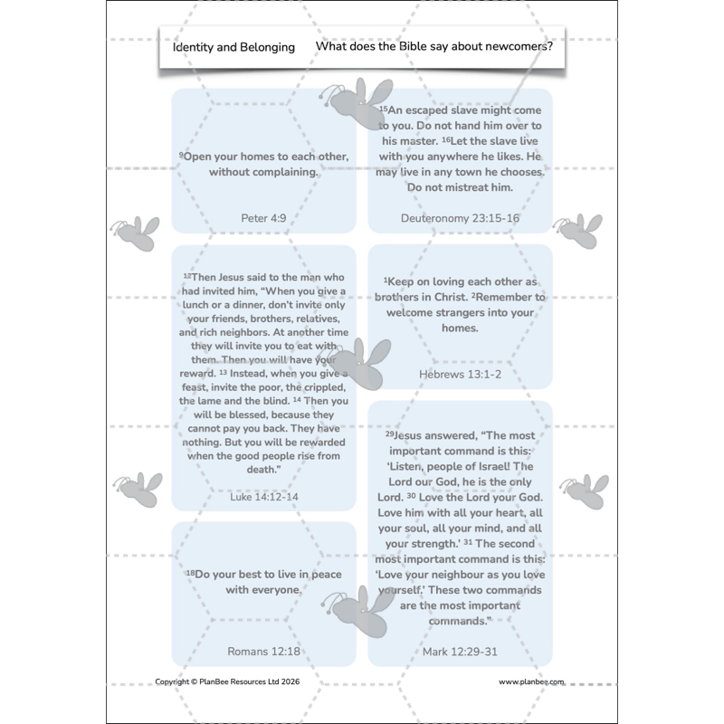 PlanBee Identity and Belonging Year 4 KS2 RE Lesson Pack by PlanBee