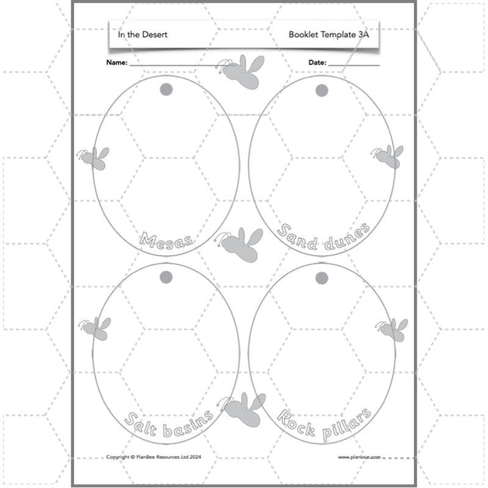 PlanBee In the Desert: Desert Habitat KS2 Geography by PlanBee