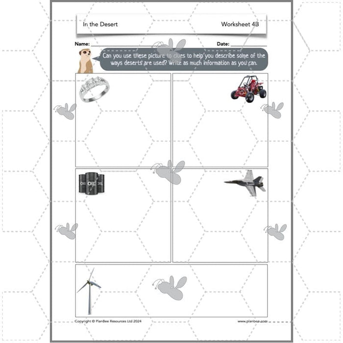 PlanBee In the Desert: Desert Habitat KS2 Geography by PlanBee