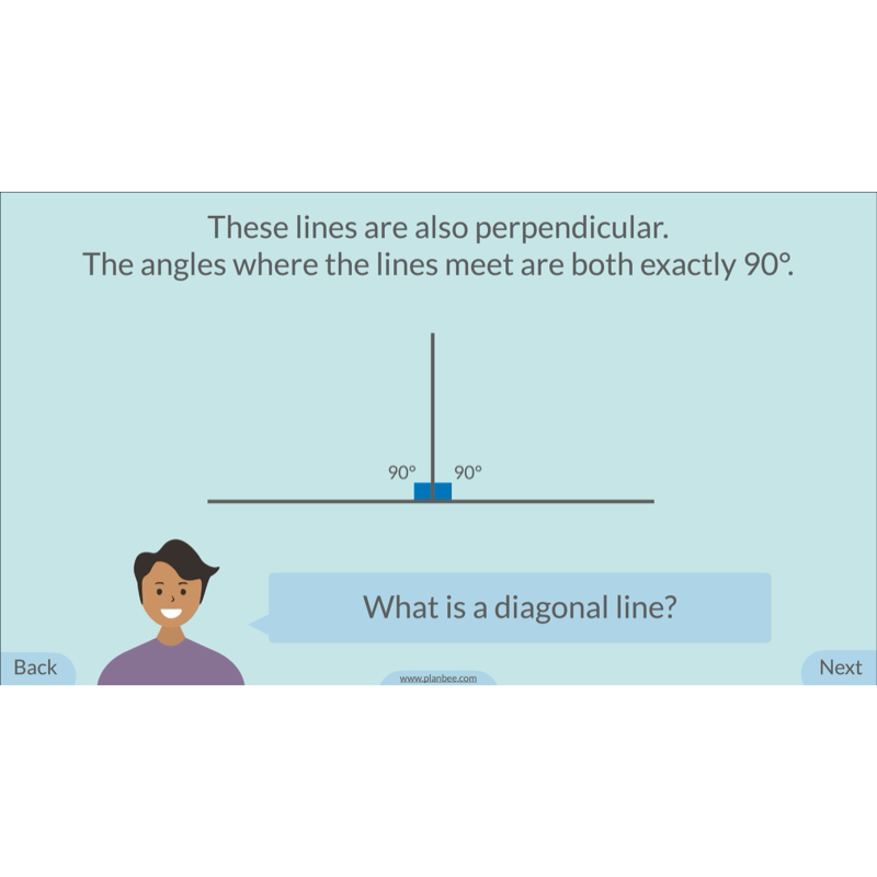 PlanBee Year 5 Shape KS2 Geometry Maths Lessons by PlanBee