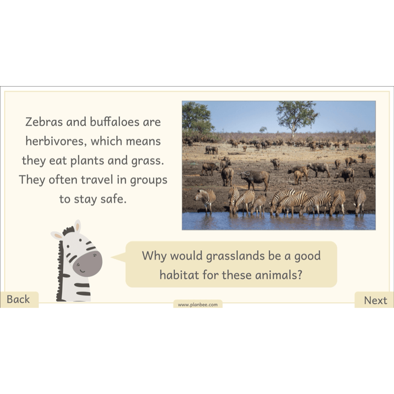 PlanBee Let's go on Safari | Kenya KS1 Geography Lesson Pack