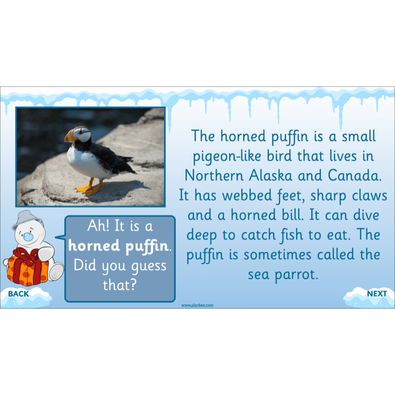 PlanBee Let's go to the Arctic KS1 Geography Lessons and Resources