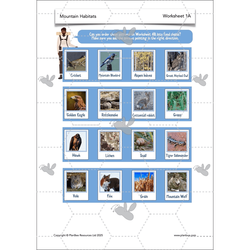 PlanBee Mountain Science KS2 | Food Chains, Adaptation & Life Cycles