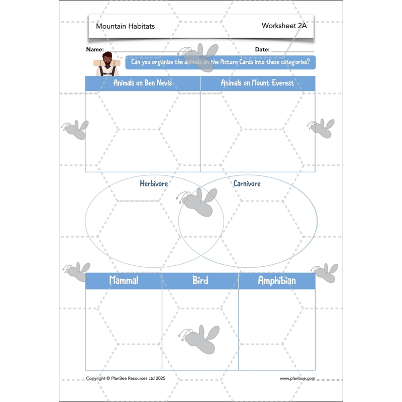 PlanBee Mountain Science KS2 | Food Chains, Adaptation & Life Cycles