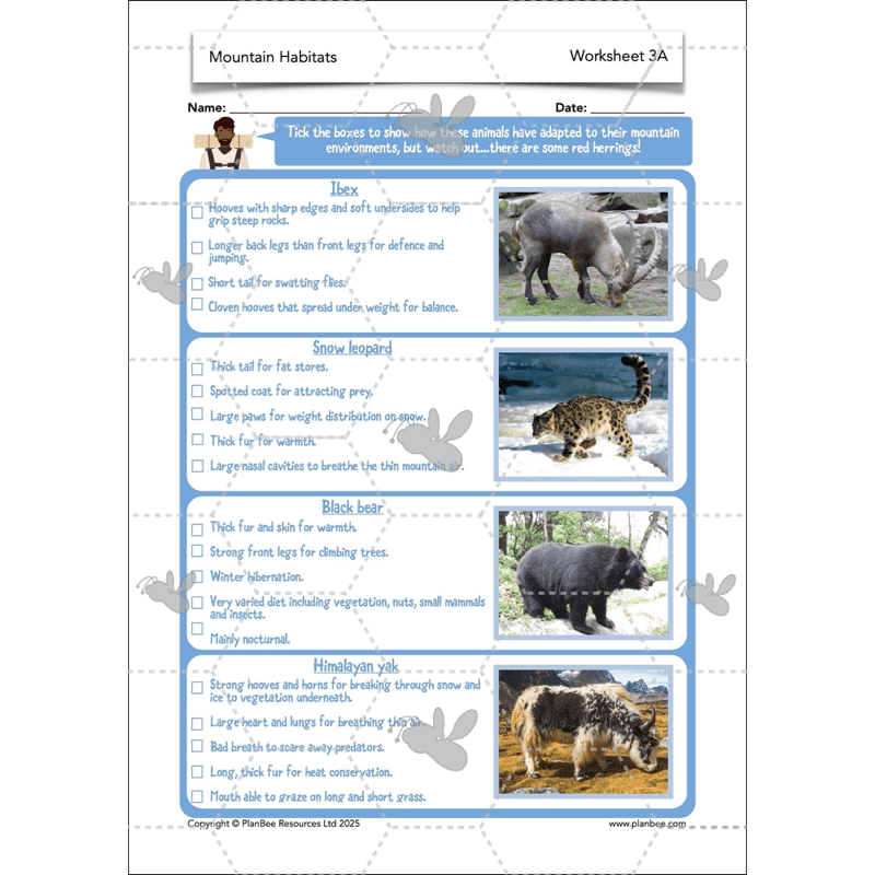 PlanBee Mountain Science KS2 | Food Chains, Adaptation & Life Cycles