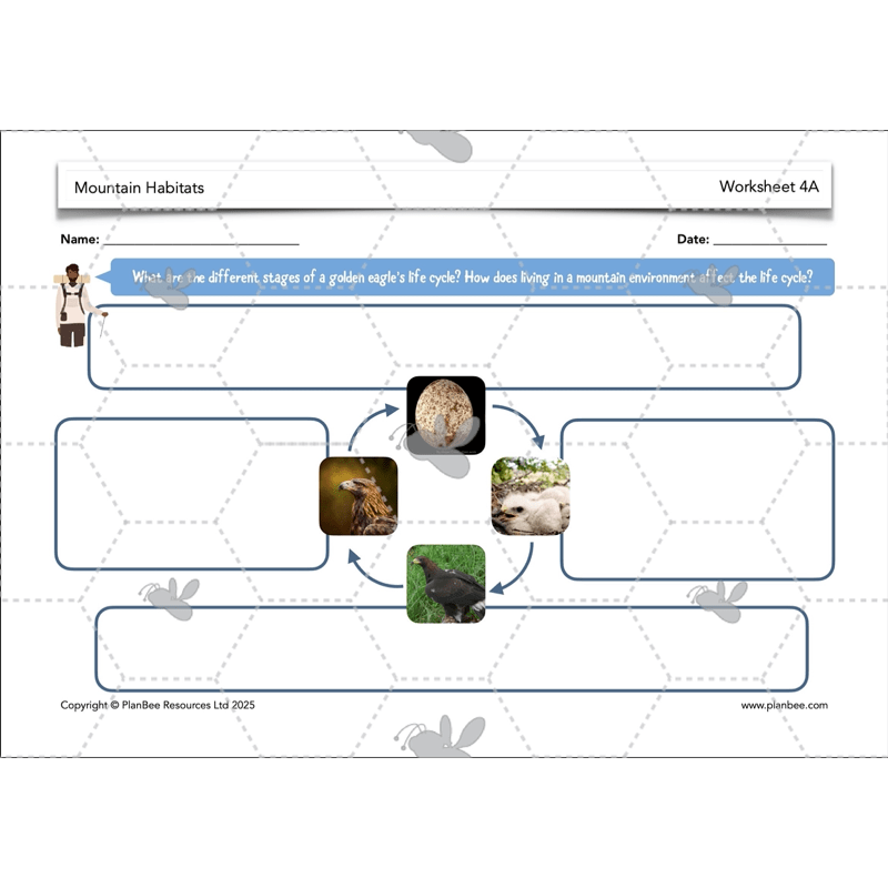 PlanBee Mountain Science KS2 | Food Chains, Adaptation & Life Cycles