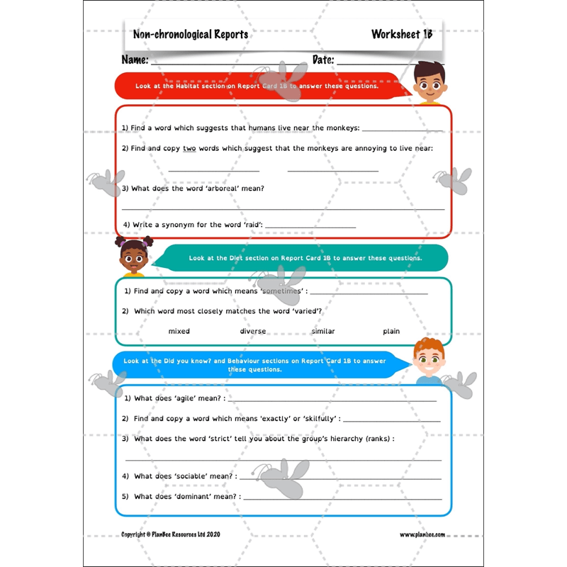 PlanBee Non-chronological Reports Year 6 English Planning