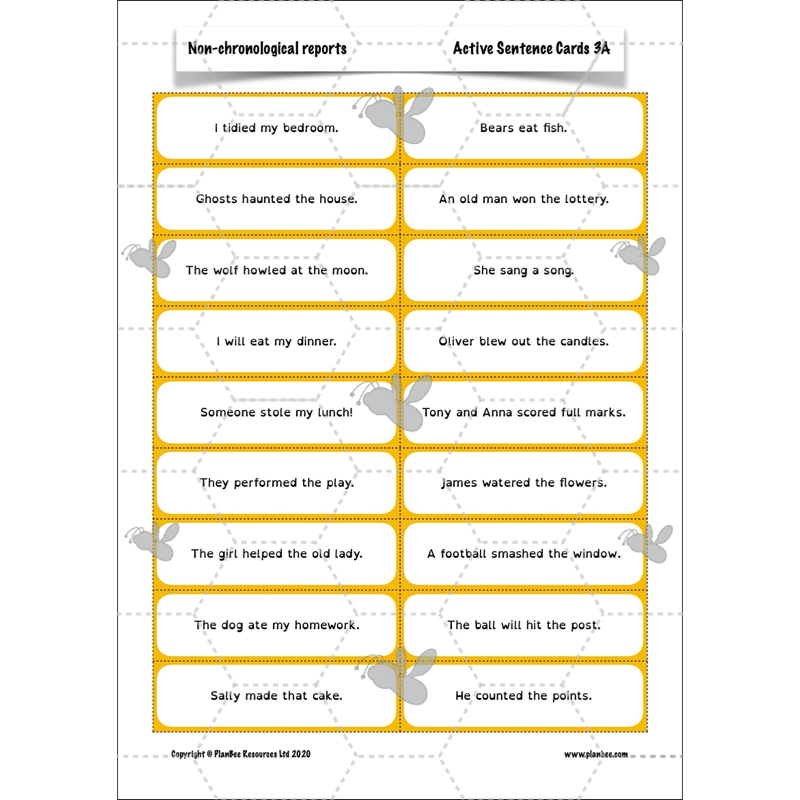 PlanBee Non-chronological Reports Year 6 English Planning