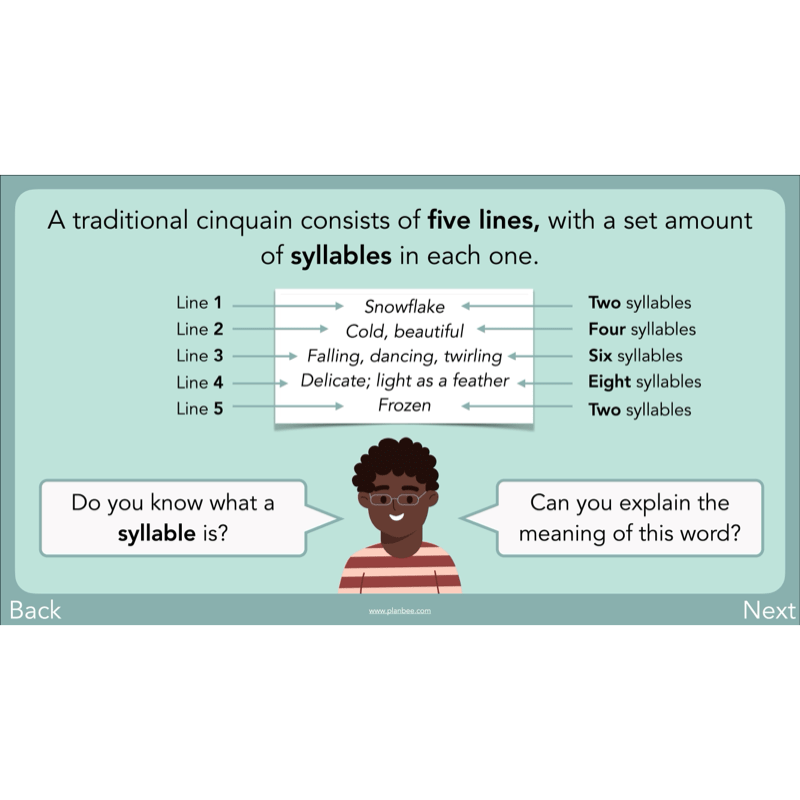 PlanBee Year 3 Patterns in Poetry | Investigating Types of Poems