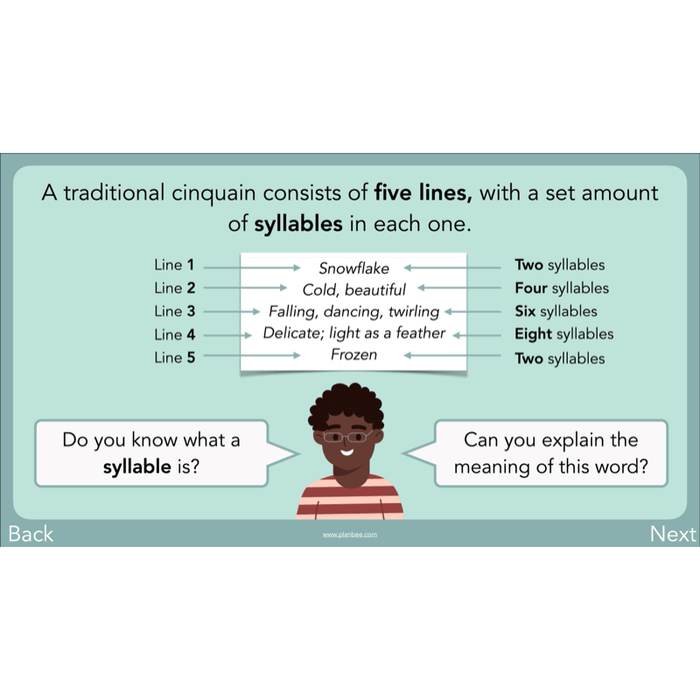 PlanBee Year 3 Patterns in Poetry | Investigating Types of Poems